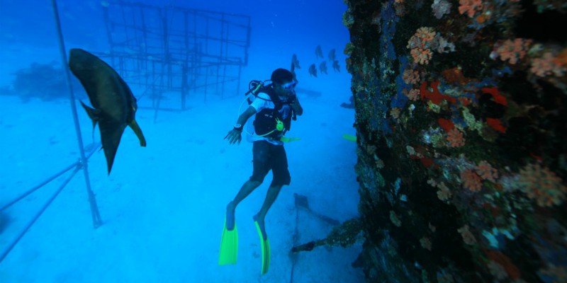 Angsana Ihuru diving with Tropical Warehouse