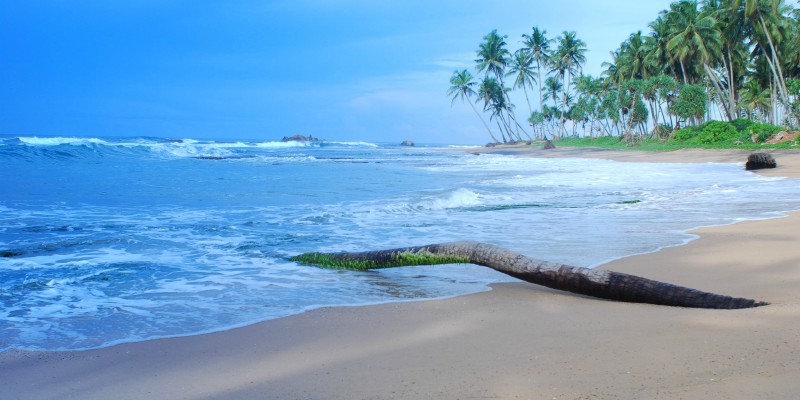 Sri Lankan coastline for beach hotels 