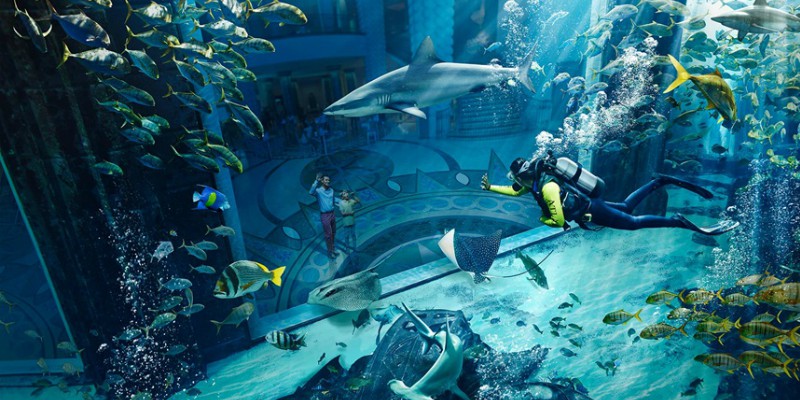 Underwater views at Atlantis, the Palm