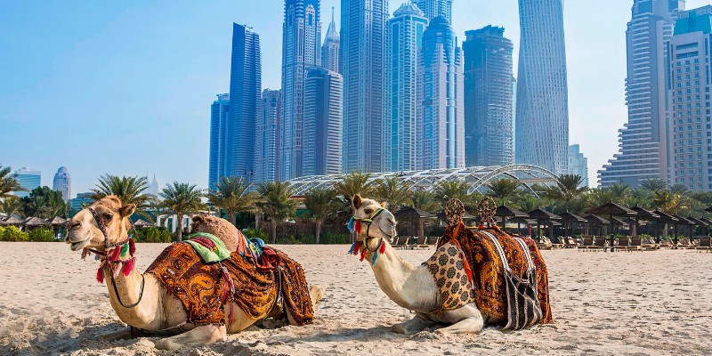 Jumeirah Beach Dubai