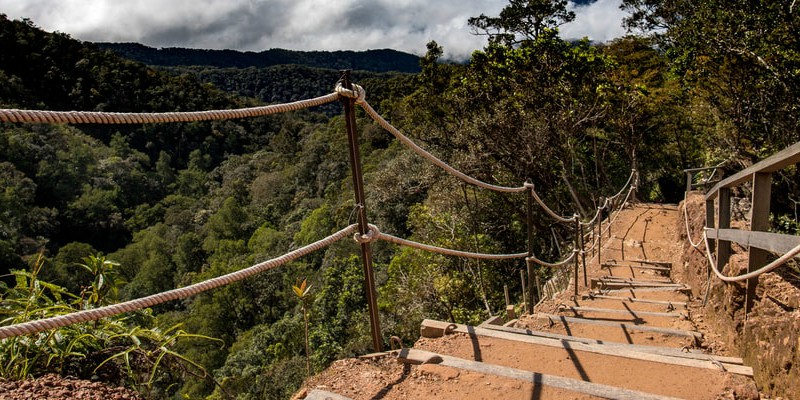 Steps leading up a tropical hill