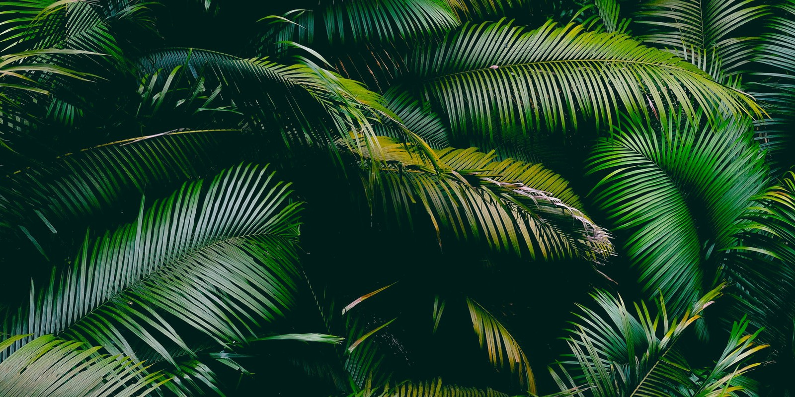 Travel blog: Pick your I’m A Celeb favourites and We’ll Reveal your Perfect Mauritius Resort