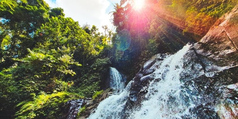 a stunning Bali waterfall