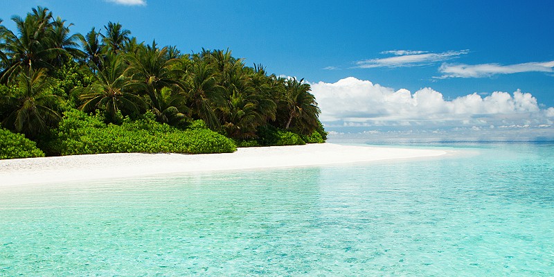 picture of a perfect Maldivian beach