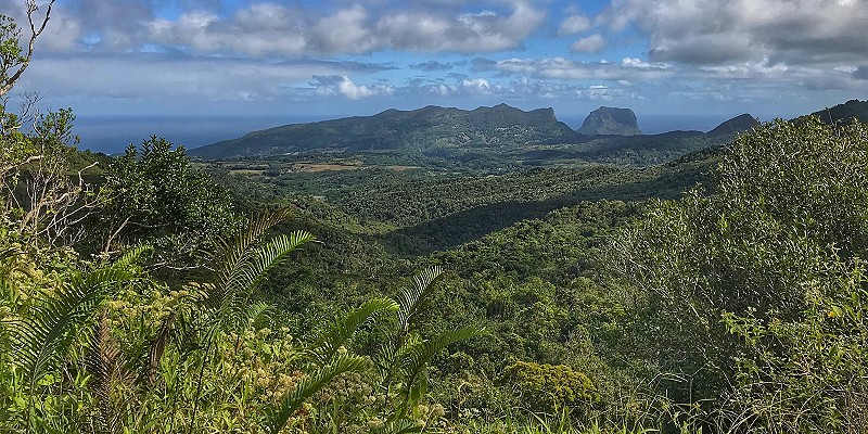 the lush tropical landscape of southern Mauritius
