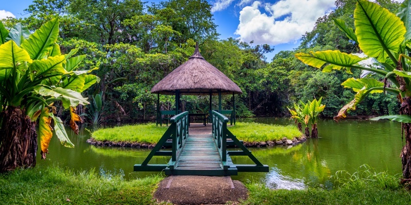 Sir Seewoosagur Ramgoolam Botanical Gardens in Mauritius