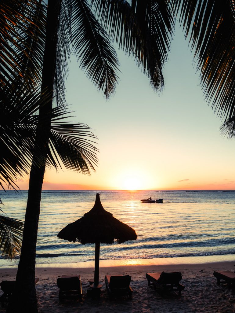 Portrait shot of a beach sunset through the palms