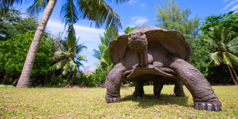 12 Stunning Pictures Of The Seychelles We Can't Stop Staring At ...