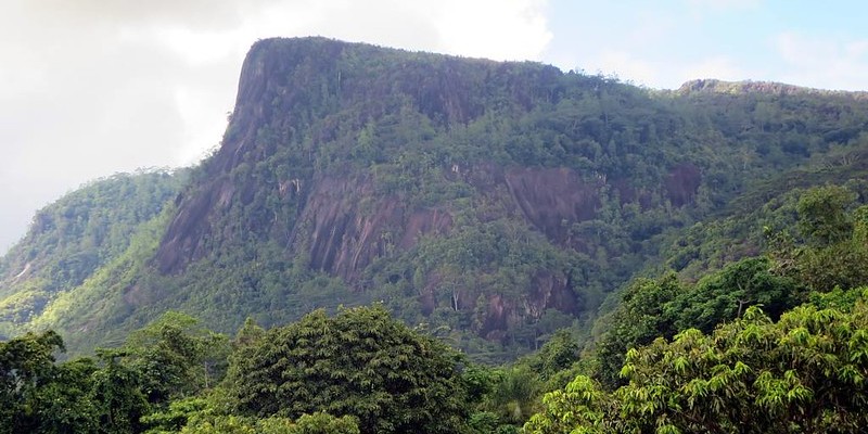 Morne Seychellois National Park. Image: davidstanleytravel