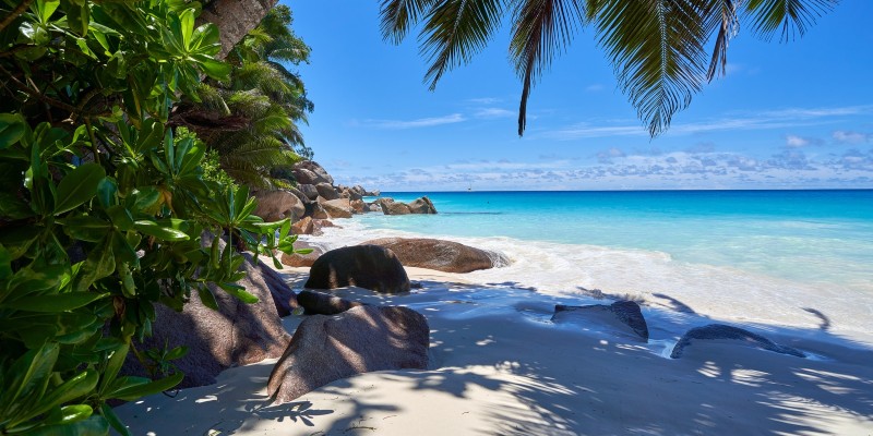 A beach in Praslin, Seychelles