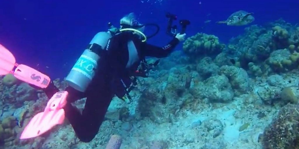 Gerry Green taking pictures of some fish on a scuba diving trip