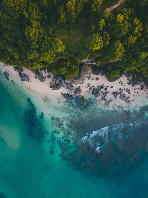 Rugged coastline