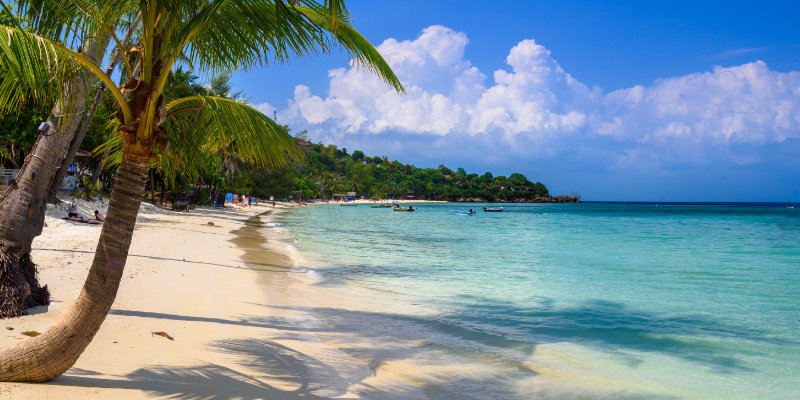  Coconut palms on Haad Yao beach 