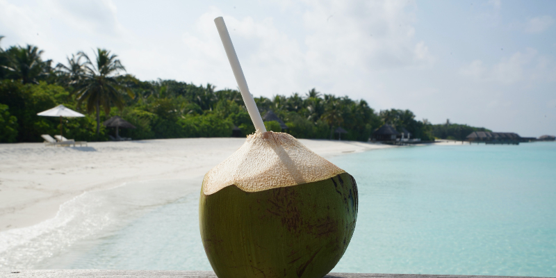 A coconut drink in the Maldives