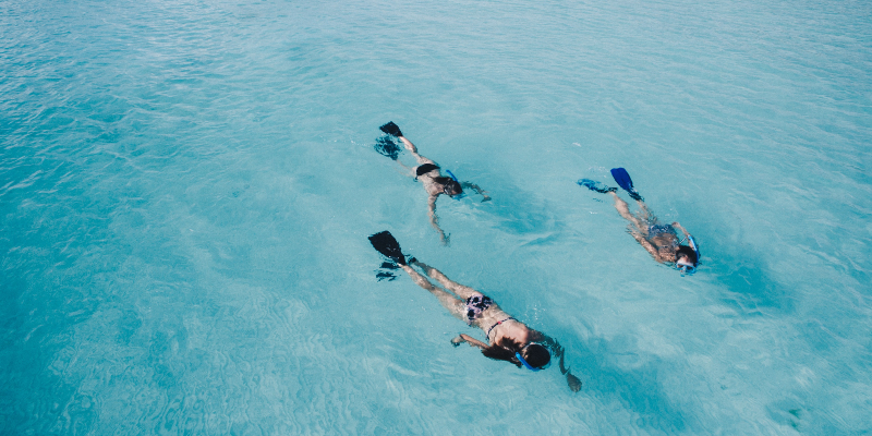 Snorkelling in the Maldives