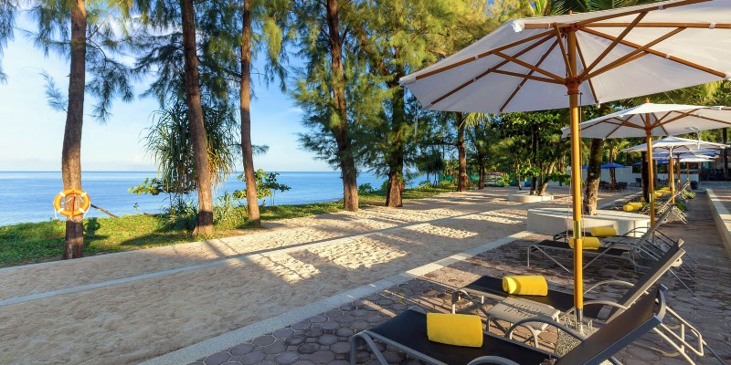 Beachfront loungers