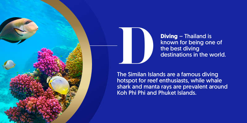 D - is for Diving. Getting below the waves is one of the best things to do in Thailand, The Similan Islands are one of the best spots in the world.  