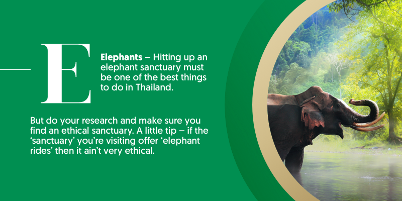 E - is for elephants. Meeting the elephants in Thailand is a must-do. But make sure you do your research and find an ethical sanctuary. Top Tip: if the sanctuary you've found still offer elephant rides, then it's not ethical.