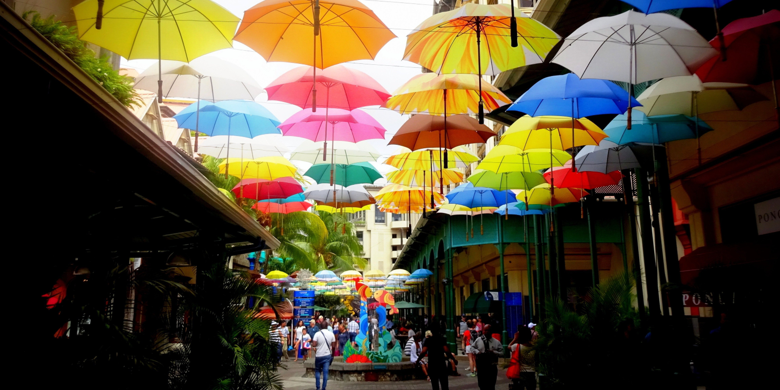 Umbrella Street, Port Louis
