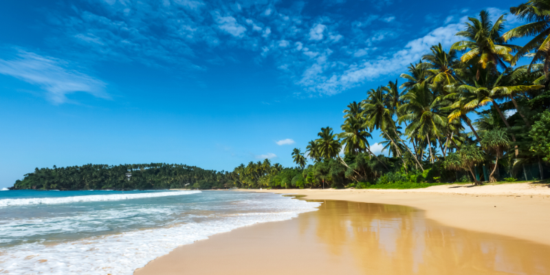 Sri Lanka Beachfront