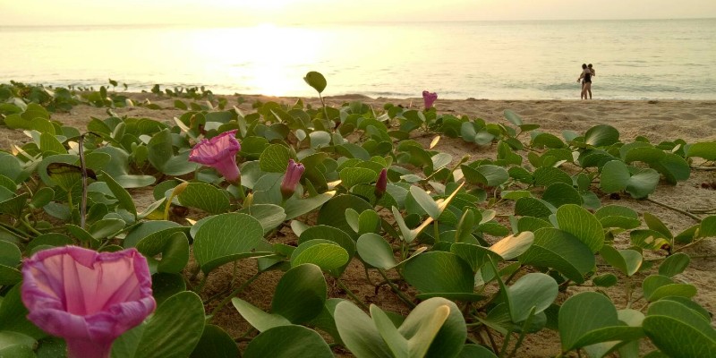 Phang Nga beach